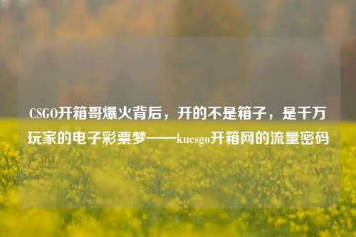 CSGO开箱哥爆火背后，开的不是箱子，是千万玩家的电子彩票梦——kucsgo开箱网的流量密码