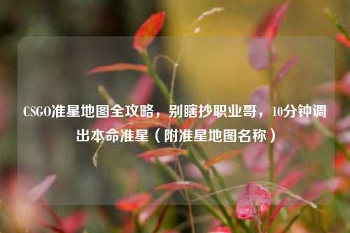 CSGO准星地图全攻略，别瞎抄职业哥，10分钟调出本命准星（附准星地图名称）