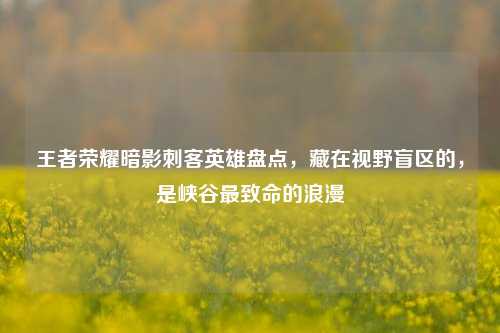 王者荣耀暗影刺客英雄盘点，藏在视野盲区的，是峡谷最致命的浪漫