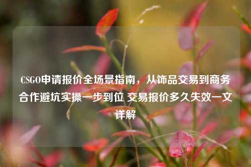 CSGO申请报价全场景指南，从饰品交易到商务合作避坑实操一步到位 交易报价多久失效一文详解