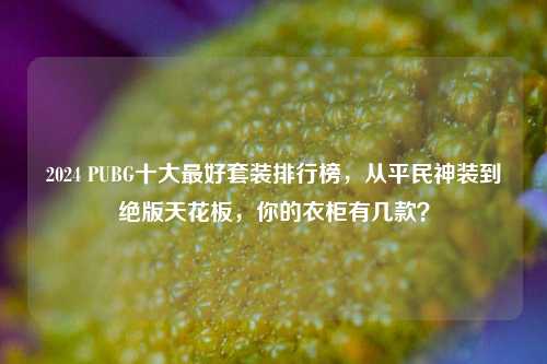 2024 PUBG十大最好套装排行榜，从平民神装到绝版天花板，你的衣柜有几款？
