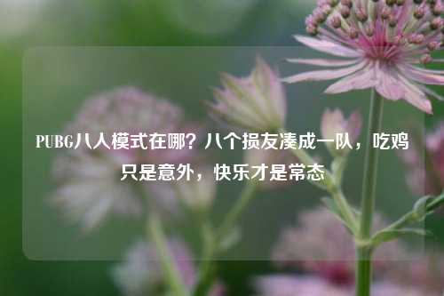PUBG八人模式在哪？八个损友凑成一队，吃鸡只是意外，快乐才是常态
