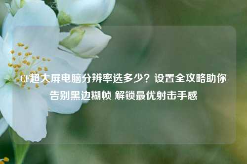 CF超大屏电脑分辨率选多少？设置全攻略助你告别黑边糊帧 解锁最优射击手感