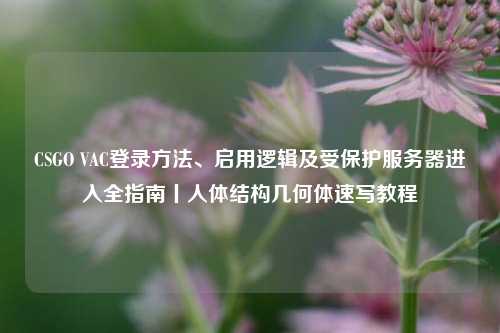 CSGO VAC登录方法、启用逻辑及受保护服务器进入全指南丨人体结构几何体速写教程