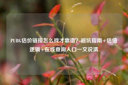 PUBG估价链接怎么找才靠谱？避坑指南+估值逻辑+在线查询入口一文说清