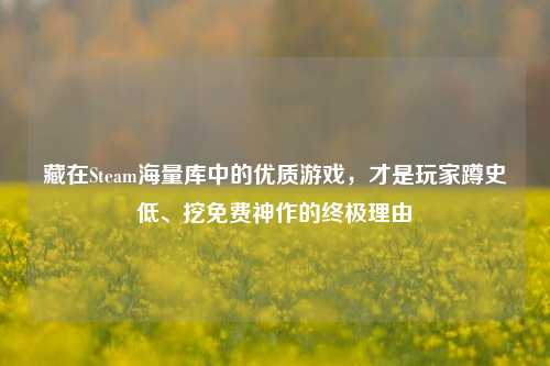 藏在Steam海量库中的优质游戏，才是玩家蹲史低、挖免费神作的终极理由