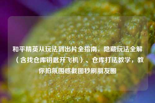 和平精英从玩法到出片全指南，隐藏玩法全解（含找仓库钥匙开飞机）、仓库打法教学，教你拍氛围感截图秒刷朋友圈