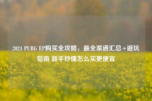 2024 PUBG EP购买全攻略，最全渠道汇总+避坑指南 新手秒懂怎么买更便宜