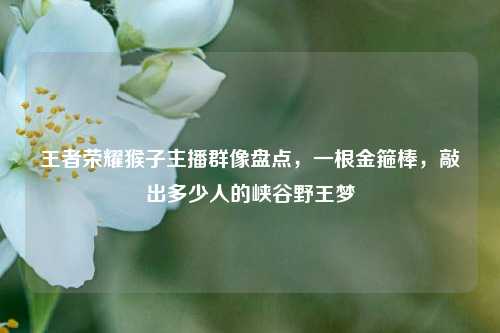 王者荣耀猴子主播群像盘点，一根金箍棒，敲出多少人的峡谷野王梦