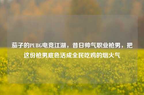 茄子的PUBG电竞江湖，昔日帅气职业枪男，把这份枪男底色活成全民吃鸡的烟火气