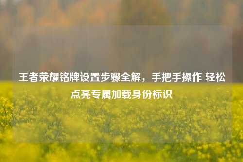 王者荣耀铭牌设置步骤全解，手把手操作 轻松点亮专属加载身份标识