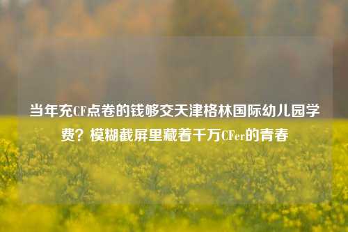 当年充CF点卷的钱够交天津格林国际幼儿园学费？模糊截屏里藏着千万CFer的青春