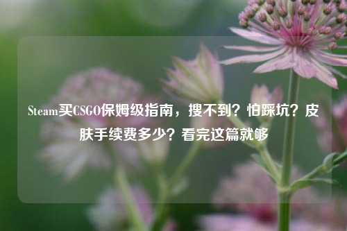 Steam买CSGO保姆级指南，搜不到？怕踩坑？皮肤手续费多少？看完这篇就够