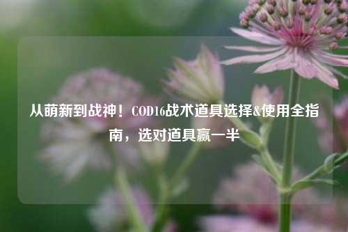 从萌新到战神！COD16战术道具选择&使用全指南，选对道具赢一半