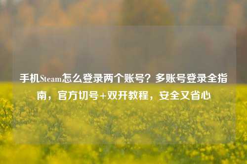 手机Steam怎么登录两个账号？多账号登录全指南，官方切号+双开教程，安全又省心