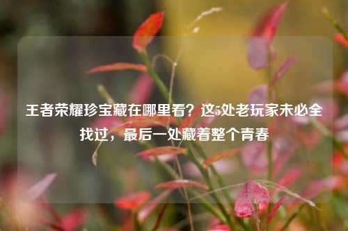 王者荣耀珍宝藏在哪里看？这5处老玩家未必全找过，最后一处藏着整个青春