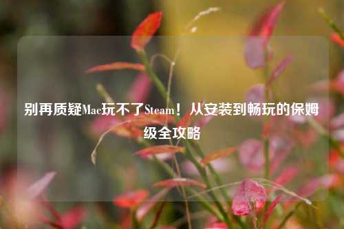 别再质疑Mac玩不了Steam！从安装到畅玩的保姆级全攻略