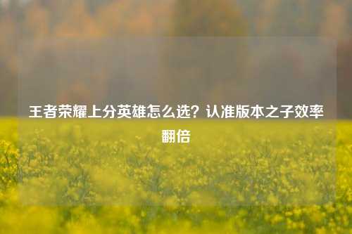 王者荣耀上分英雄怎么选？认准版本之子效率翻倍