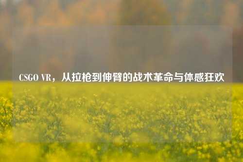 CSGO VR，从拉枪到伸臂的战术革命与体感狂欢