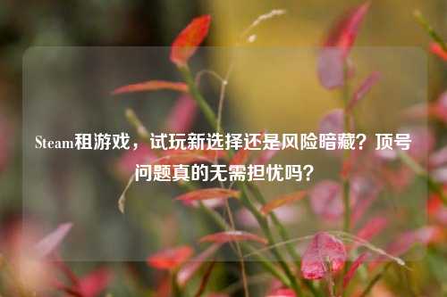 Steam租游戏，试玩新选择还是风险暗藏？顶号问题真的无需担忧吗？