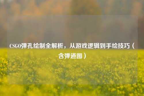 CSGO弹孔绘制全解析，从游戏逻辑到手绘技巧（含弹道图）