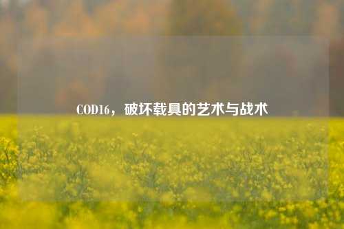 COD16，破坏载具的艺术与战术