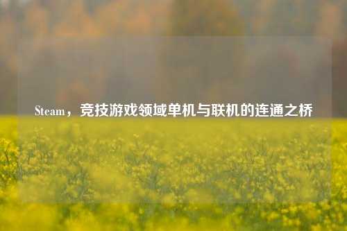 Steam，竞技游戏领域单机与联机的连通之桥