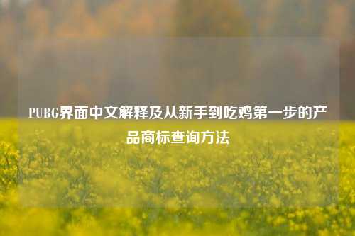 PUBG界面中文解释及从新手到吃鸡第一步的产品商标查询方法