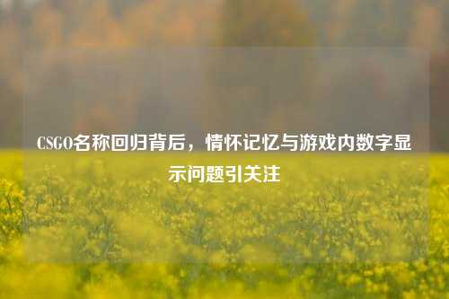 CSGO名称回归背后，情怀记忆与游戏内数字显示问题引关注