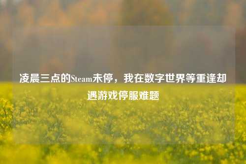 凌晨三点的Steam未停，我在数字世界等重逢却遇游戏停服难题
