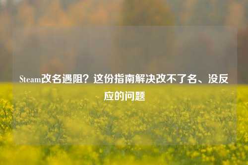 Steam改名遇阻？这份指南解决改不了名、没反应的问题