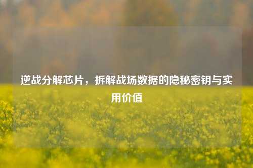 逆战分解芯片，拆解战场数据的隐秘密钥与实用价值