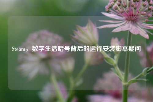 Steam，数字生活暗号背后的运行安装脚本疑问