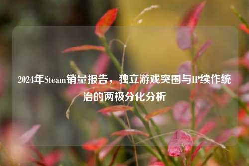 2024年Steam销量报告，独立游戏突围与IP续作统治的两极分化分析