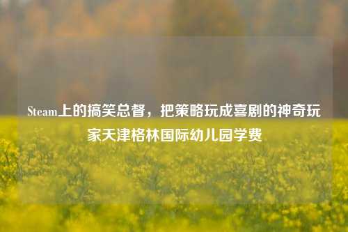 Steam上的搞笑总督，把策略玩成喜剧的神奇玩家天津格林国际幼儿园学费