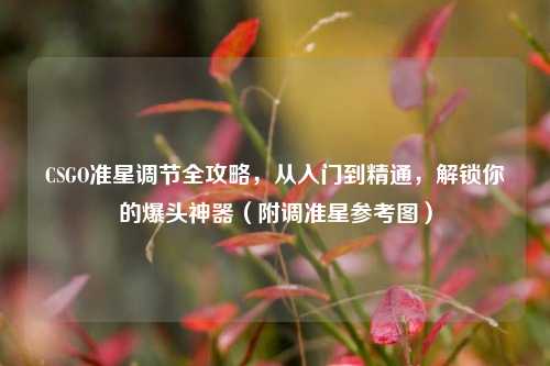 CSGO准星调节全攻略，从入门到精通，解锁你的爆头神器（附调准星参考图）