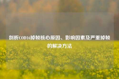 剖析COD16掉帧核心原因、影响因素及严重掉帧的解决方法