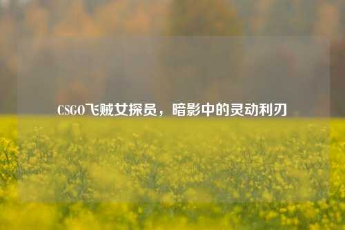 CSGO飞贼女探员，暗影中的灵动利刃