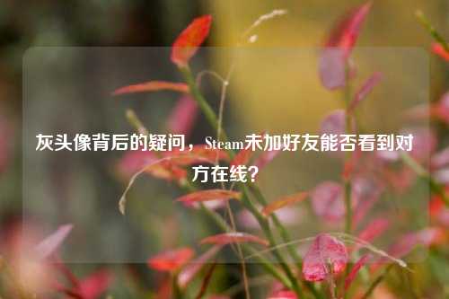 灰头像背后的疑问，Steam未加好友能否看到对方在线？