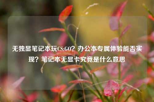 无独显笔记本玩CS:GO？办公本专属体验能否实现？笔记本无显卡究竟是什么意思