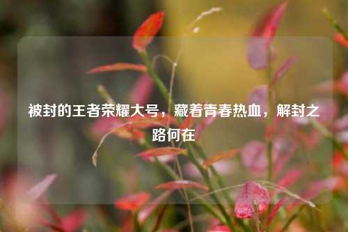 被封的王者荣耀大号，藏着青春热血，解封之路何在