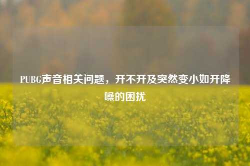 PUBG声音相关问题，开不开及突然变小如开降噪的困扰