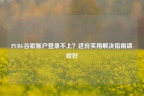 PUBG谷歌账户登录不上？这份实用解决指南请收好