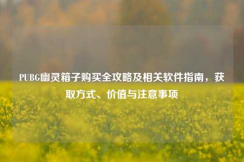 PUBG幽灵箱子购买全攻略及相关软件指南，获取方式、价值与注意事项