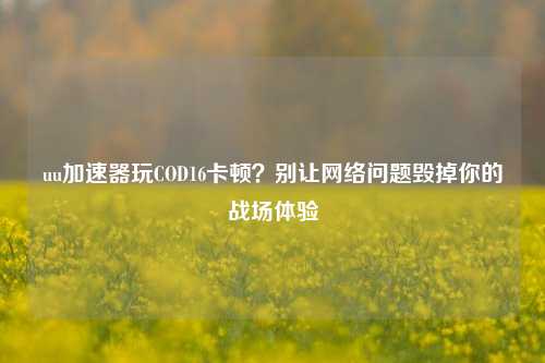 uu加速器玩COD16卡顿？别让网络问题毁掉你的战场体验