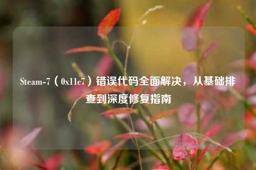 Steam-7（0x11c7）错误代码全面解决，从基础排查到深度修复指南