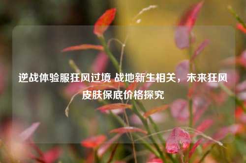 逆战体验服狂风过境 战地新生相关，未来狂风皮肤保底价格探究