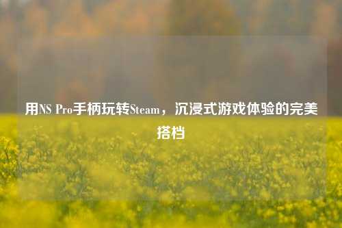 用NS Pro手柄玩转Steam，沉浸式游戏体验的完美搭档