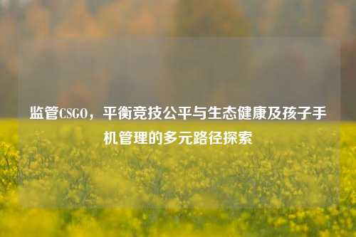监管CSGO，平衡竞技公平与生态健康及孩子手机管理的多元路径探索