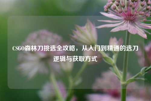 CSGO森林刀挑选全攻略，从入门到精通的选刀逻辑与获取方式